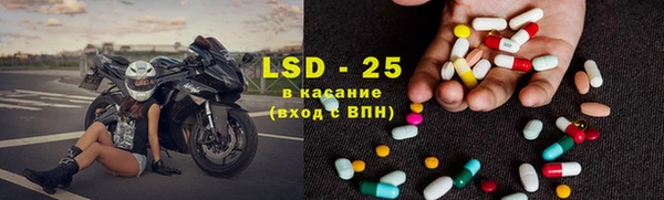 трава Бородино