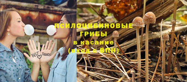 дурь Бронницы