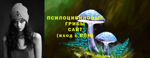 трава Бородино