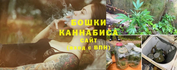 сатива Верхний Тагил