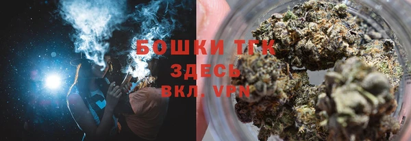 дурь Бронницы