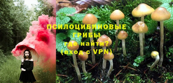 дурь Бронницы