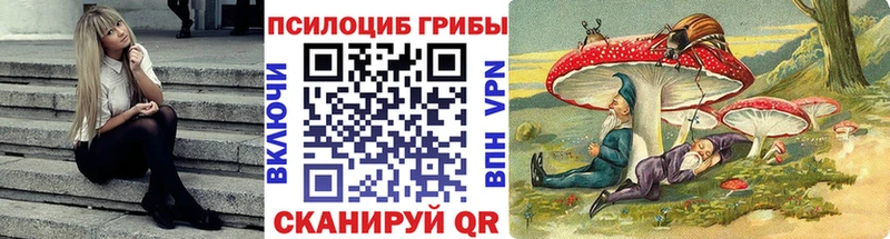 Галлюциногенные грибы прущие грибы  Кимры 