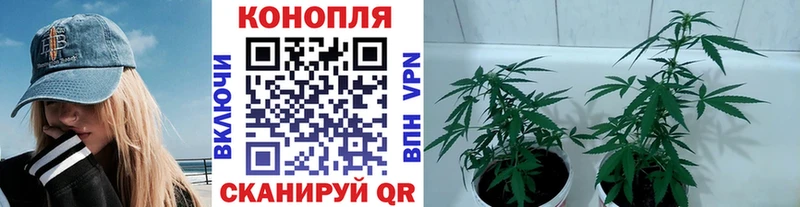 Шишки марихуана MAZAR  Кимры 